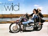 Born to be Wild, 2